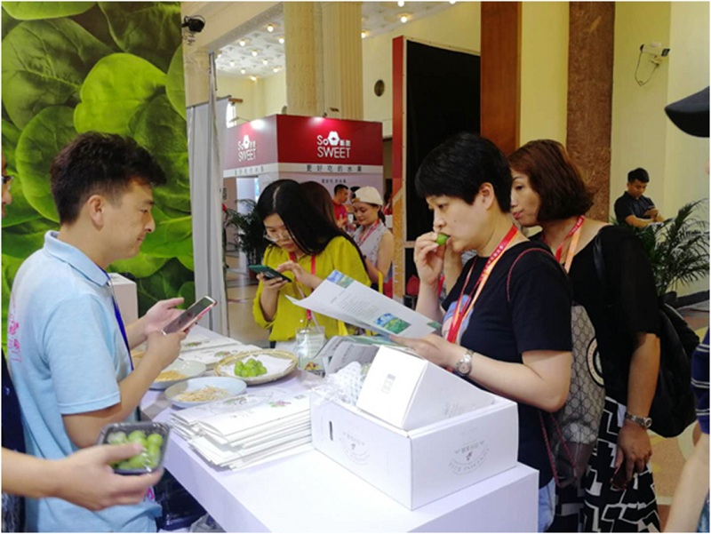 “宾果儿”公用品牌在上海亚果会发布